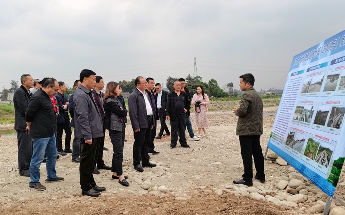 東坡區(qū)人大視察公司思蒙河水毀工程項(xiàng)目